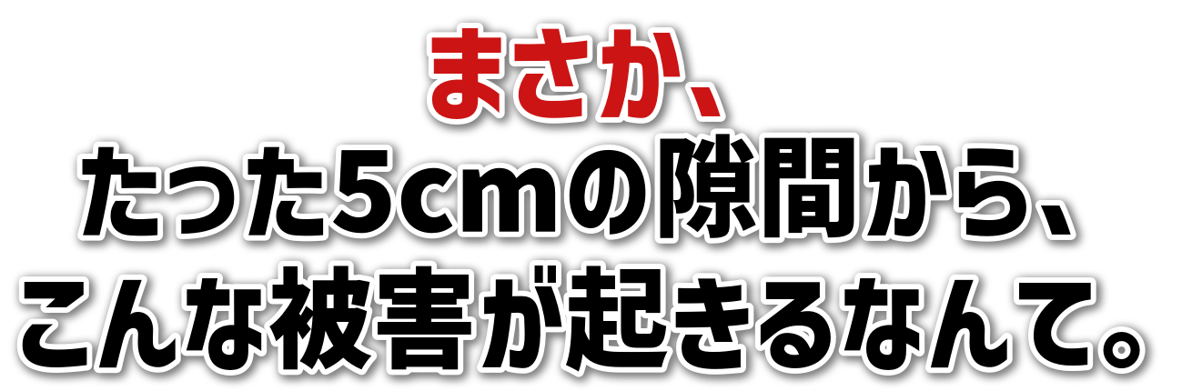 ܂A<br>5cm̌ԂA<br>ȔQNȂāB