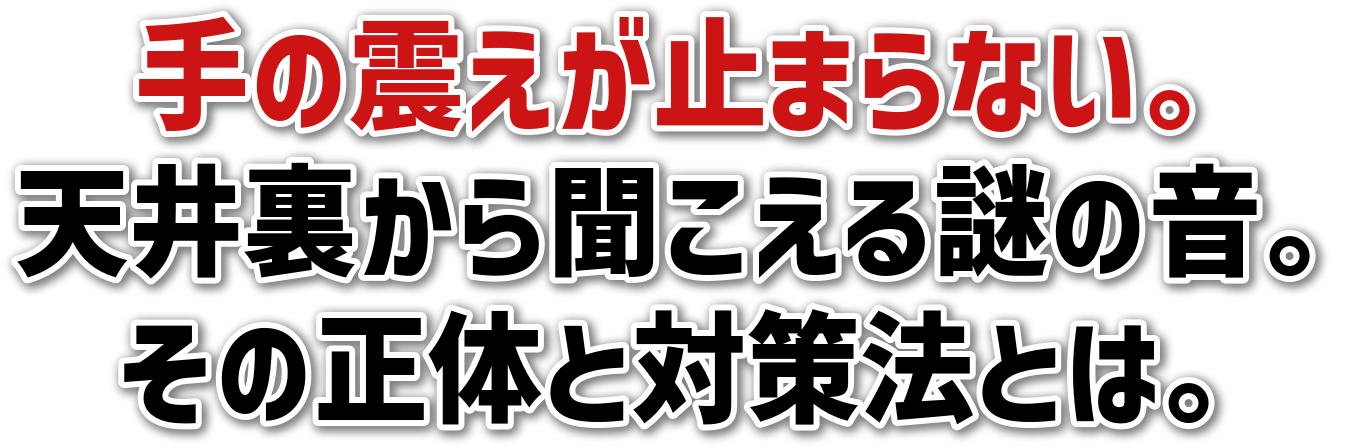 ̐k~܂ȂB<br>V䗠畷̉B<br>̐̂Ƒ΍@Ƃ́B