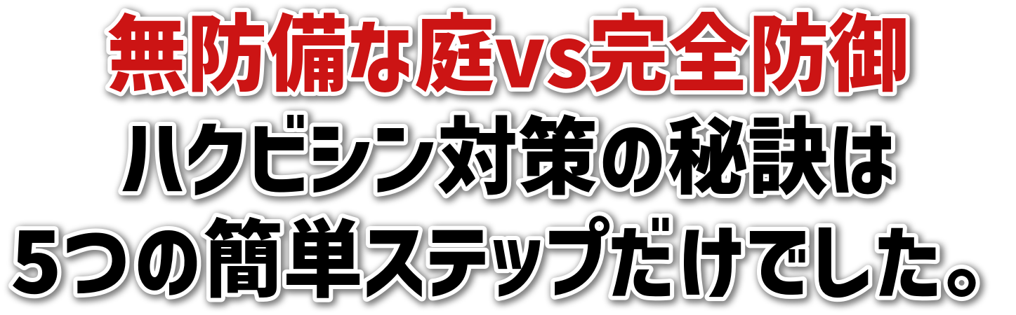 hȒvsSh<br>nNrV΍̔錍<br>5̊ȒPXebvłB