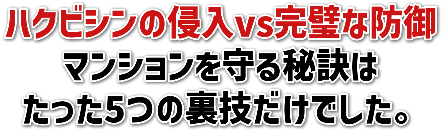 nNrV̐NvsȖh<br>}V錍<br>5̗ZłB