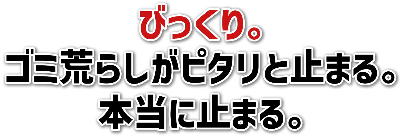 тB<br>S~r炵s^Ǝ~܂B<br>{Ɏ~܂B