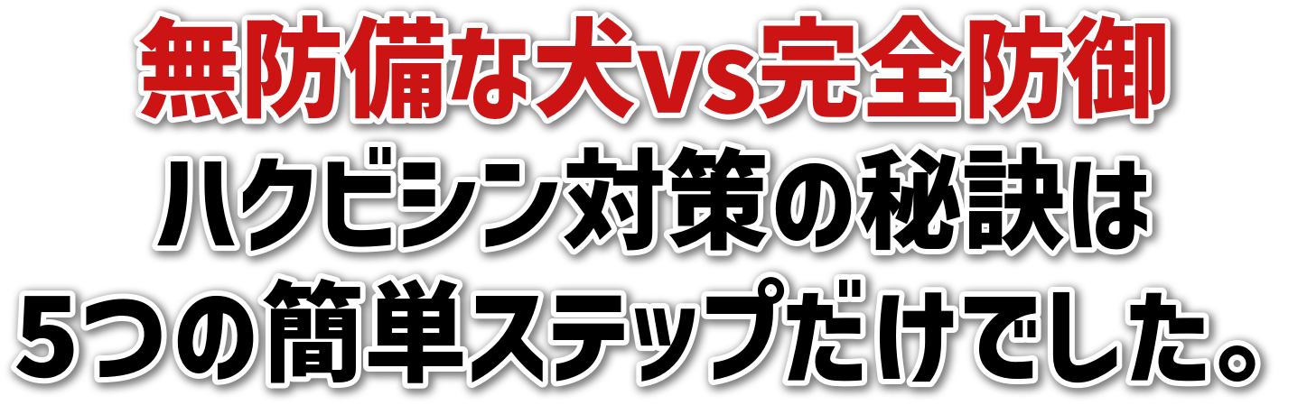 hȌvsSh<br>nNrV΍̔錍<br>5̊ȒPXebvłB