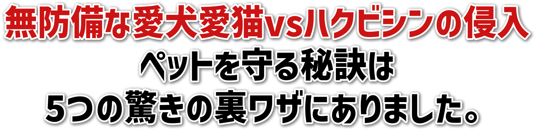hȈLvsnNrV̐N<br>ybg錍<br>5̗̋Uɂ܂B