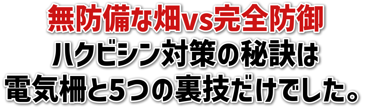 hȔvsSh<br>nNrV΍̔錍<br>dC5̗ZłB