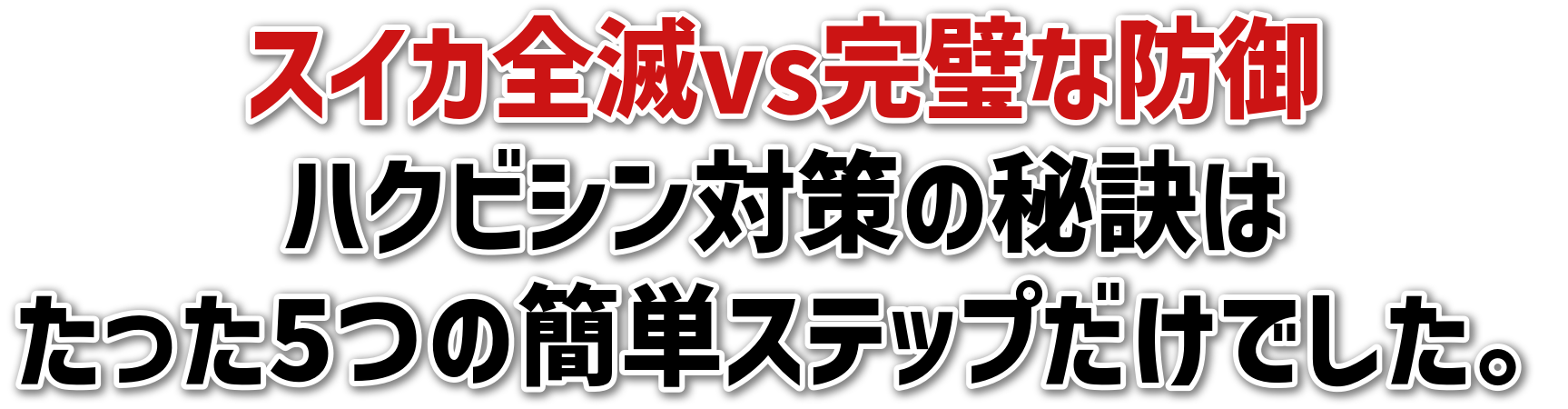 XCJSvsȖh<br>nNrV΍̔錍<br>5̊ȒPXebvłB