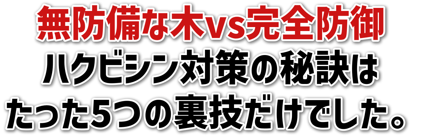 hȖvsSh<br>nNrV΍̔錍<br>5̗ZłB