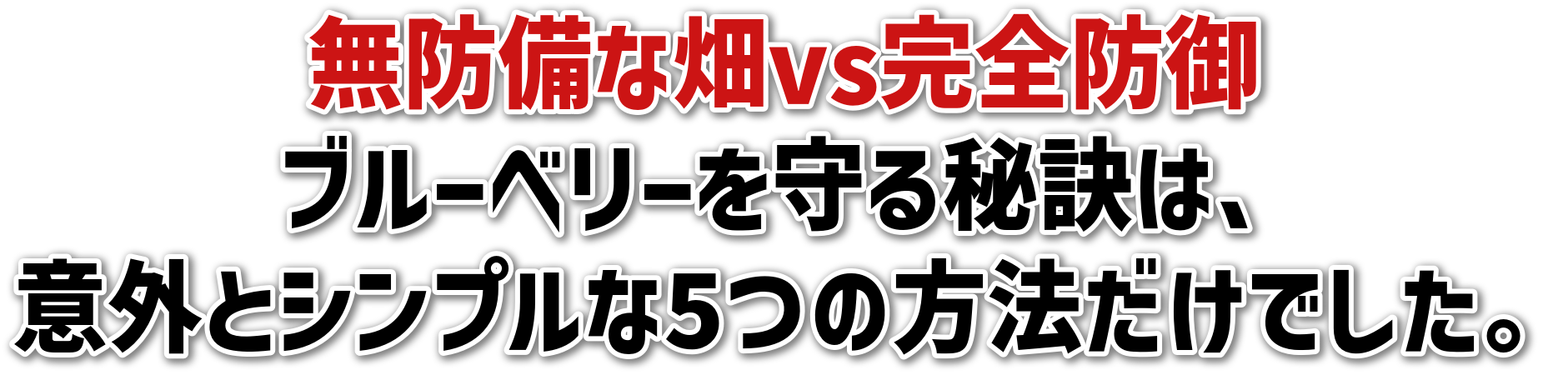 hȔvsSh<br>u[x[錍́A<br>ӊOƃVv5̕@łB