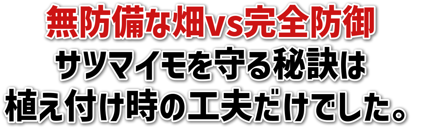hȔvsSh<br>Tc}C錍<br>At̍HvłB