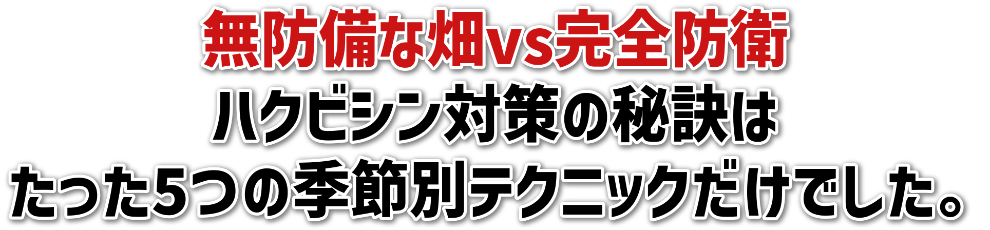 hȔvsShq<br>nNrV΍̔錍<br>5̋GߕʃeNjbNłB