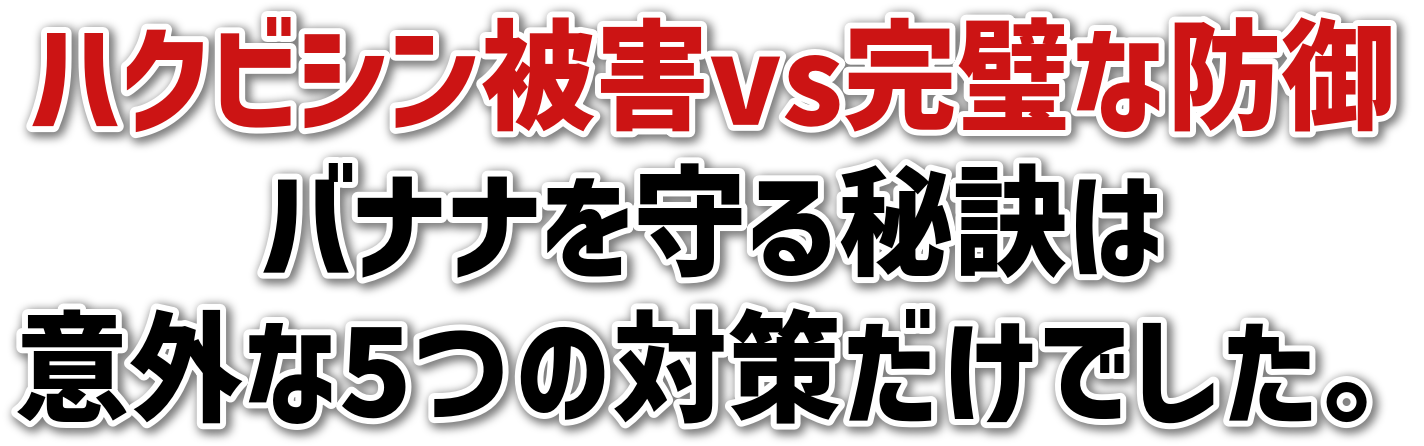 nNrVQvsȖh<br>oii錍<br>ӊO5̑΍􂾂łB
