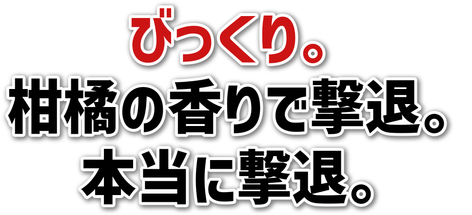 тB<br>k̍ŌށB<br>{ɌށB