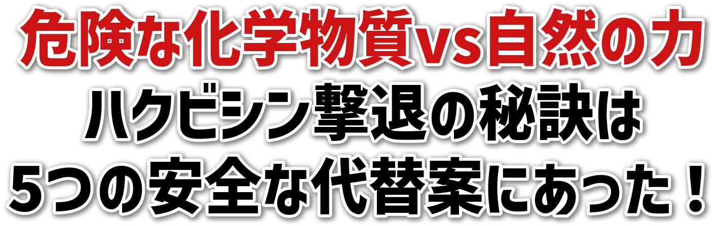 댯ȉwvsR̗<br>nNrVނ̔錍<br>5̈SȑֈĂɂI
