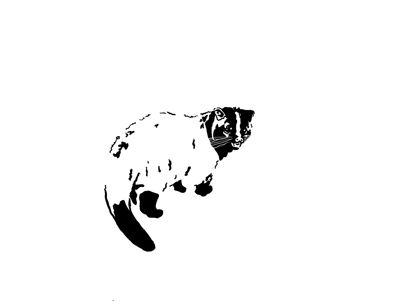 nNrV΍̗UƒIȉ